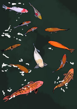 Shuu Photos Images Assets Adobe Stock