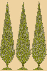 Mughal Tree look beautiful color