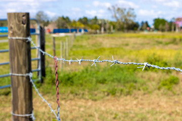 Fototapeta premium Barbed wire fence surrounding field