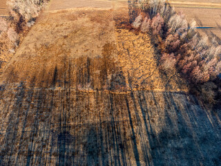 Protected regional area of peat bogs. European nature area. Friuli