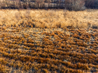 Protected regional area of peat bogs. European nature area. Friuli