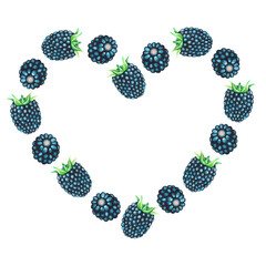 Blackberry Heart. Watercolor illustration. Isolated on a white background. For design.