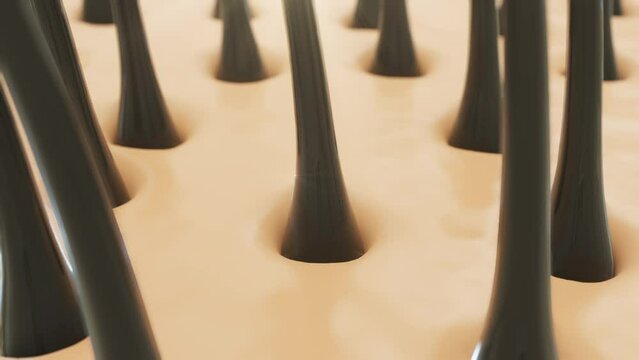 Hair care, Animation Nourish hair action of shampoo or serum. Repair damaged hair. 3d Animation.