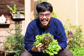 Portrait of gardener holding organic lettuce at greenhouse.

