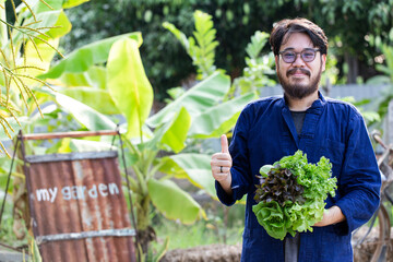 Portrait of gardener holding organic lettuce at greenhouse.
