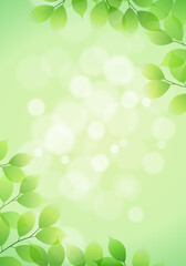 Fototapeta premium 新緑の葉と玉ボケの光のベクターイラスト背景(フレッシュ,コピースペース,art,narural,fresh,green)