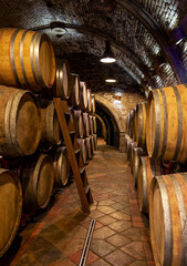 Wine barrels in wine-vaults in order