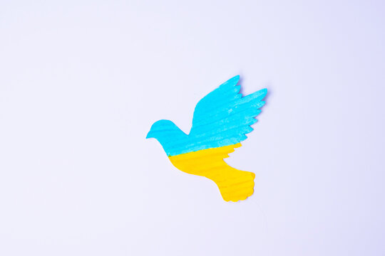 Support for Ukraine in the war with Russia, peace dove with flag of Ukraine. Pray, No war, stop war and stand with Ukraine concepts