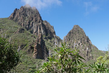 Berglandschaft auf Gran Canaria