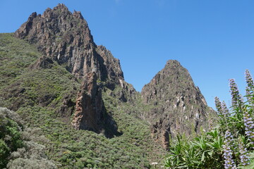 Fototapeta na wymiar Landschaft mit Felsen auf Gran Canaria