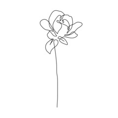Flower Rose Line Drawing. Botanical Art of Flower One Line Drawing for Minimalist Wall Decor, Floral Wall Art, Prints. Vector Digital Art
