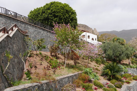 Dorf mit blühenden Bäumen auf Gran Canaria