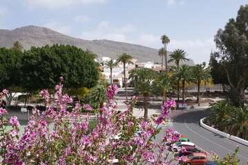 Blühender Baum und Stadtbild von Santa Lucia auf Gran Canaria - obrazy, fototapety, plakaty