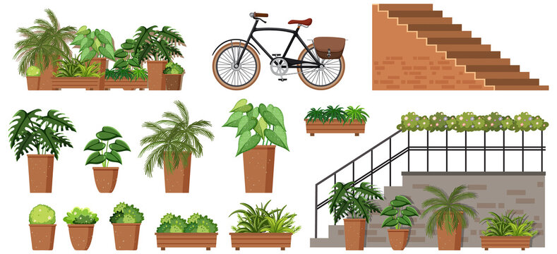 Different potted plants and stairs