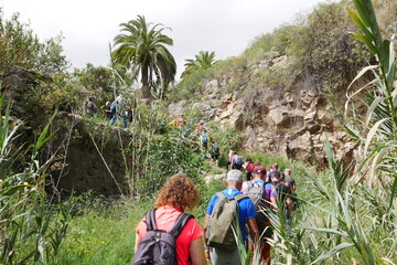 Wandergruppe auf Gran Canaria