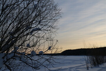 The shore of the bayou at winter sunset. The road through the pine forest in Russia. Winter road through snowdrifts and pine forest in Russia
