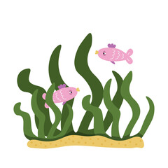 Two pink fish in algae on the bottom