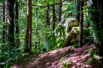a large stone in Carpathian forest, Skole Beskids National Nature Park, Ukraine