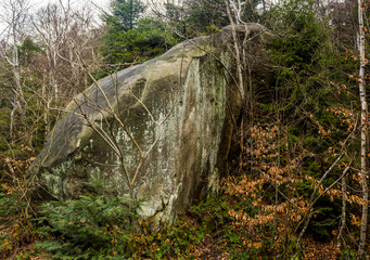 a large stone in Carpathian forest, Skole Beskids National Nature Park, Ukraine