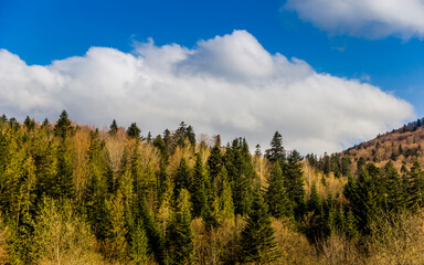 Fototapeta na wymiar panorama of the Carpathian mountains, Skole Beskids National Nature Park, Ukraine