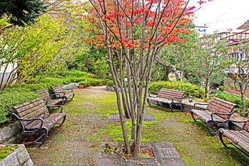 Decorative the wooden bench in the garden