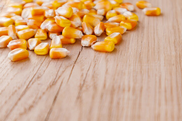 Heap of raw corns seeds, maize or sweetcorn kernels on wooden background. Selective focus