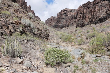 Felsenlandschaft im Süden von Gran Canaria