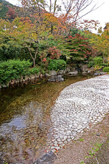 Decorative Japanese style garden