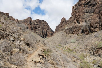Trockene Landschaft in Halbwüste auf Gran Canaria