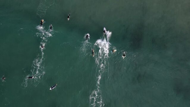 Top aerial view of tourist swimming in the beach with surfboard.