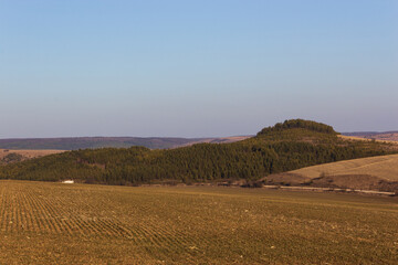 landscape in region Ukraine 