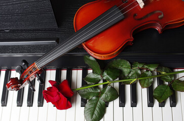 Synthesizer keyboard, violin and red rose. 