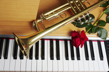 Red rose and trumpet on the piano keyboard. © yrafoto