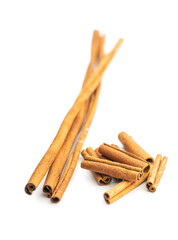 Dry cinnamon sticks isolated on white background. Cinnamon spice.