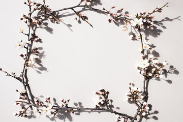 Spring background. Frame of fresh twigs of blooming cherry. Place for text. Flat lay.