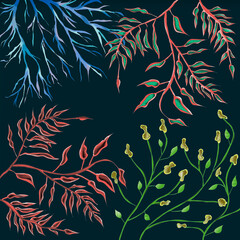 Ilustracja motyw roślinny kolorowe liście na ciemnym tle tle	
 - obrazy, fototapety, plakaty