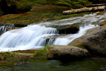 View of the flowing river in the forest high in the mountains.