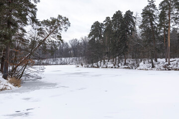 Winter landscape in the forest.