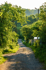 Countryside holiday and relax. Blooming spring day on lawn..