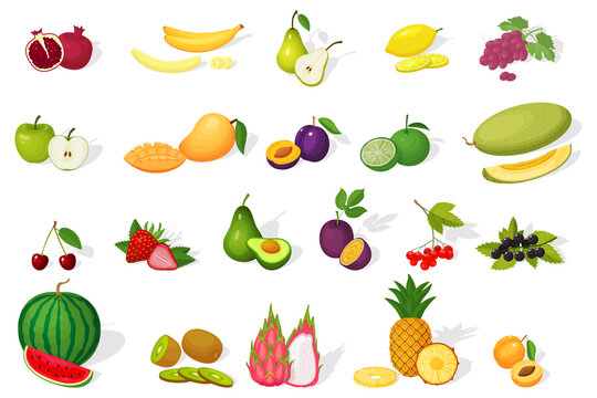 A set of fruits.Colorful cartoon icons of ripe and juicy fruits isolated on a white background.Watermelon,avocado,cherry,lime,petaya,pear,apple,plum,apricot, grape,mango, banana and melon.
