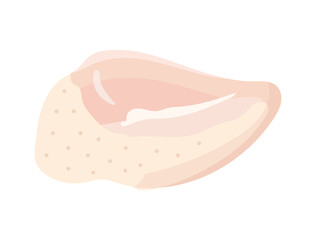 鶏肉　イラスト