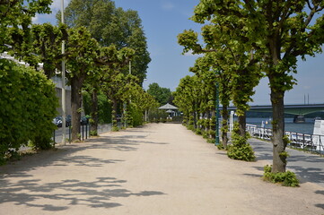Promenade an Fluss Rhein in Frühling in der Stadt Bonn, Nordrhein - Westfallen