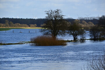 Hochwasser im Winter am Fluss Aller im Dorf Westen, Niedersachsen