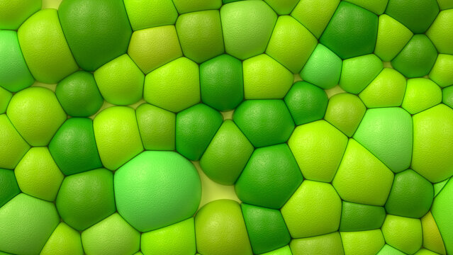 Abstract fresh spring background. Green tones. 3D illustration. 3D rendering.