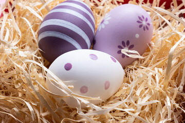 Fototapeta na wymiar Happy easter. Easter quail eggs on a white background.