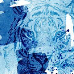 Poster. A combination of watercolor spots, splashes and tiger head images for the design of postcards, posters and other printed products. Blue and light blue color. Watercolor and line graphics.