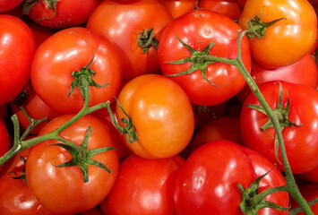 Tomatoes