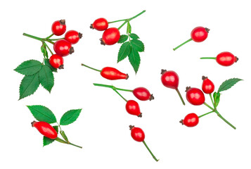 Rose hip isolated on a white background, top view