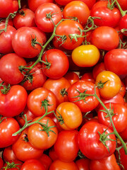 Tomatoes
