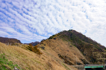 角田岬灯台から続く角田山トレッキングコース
